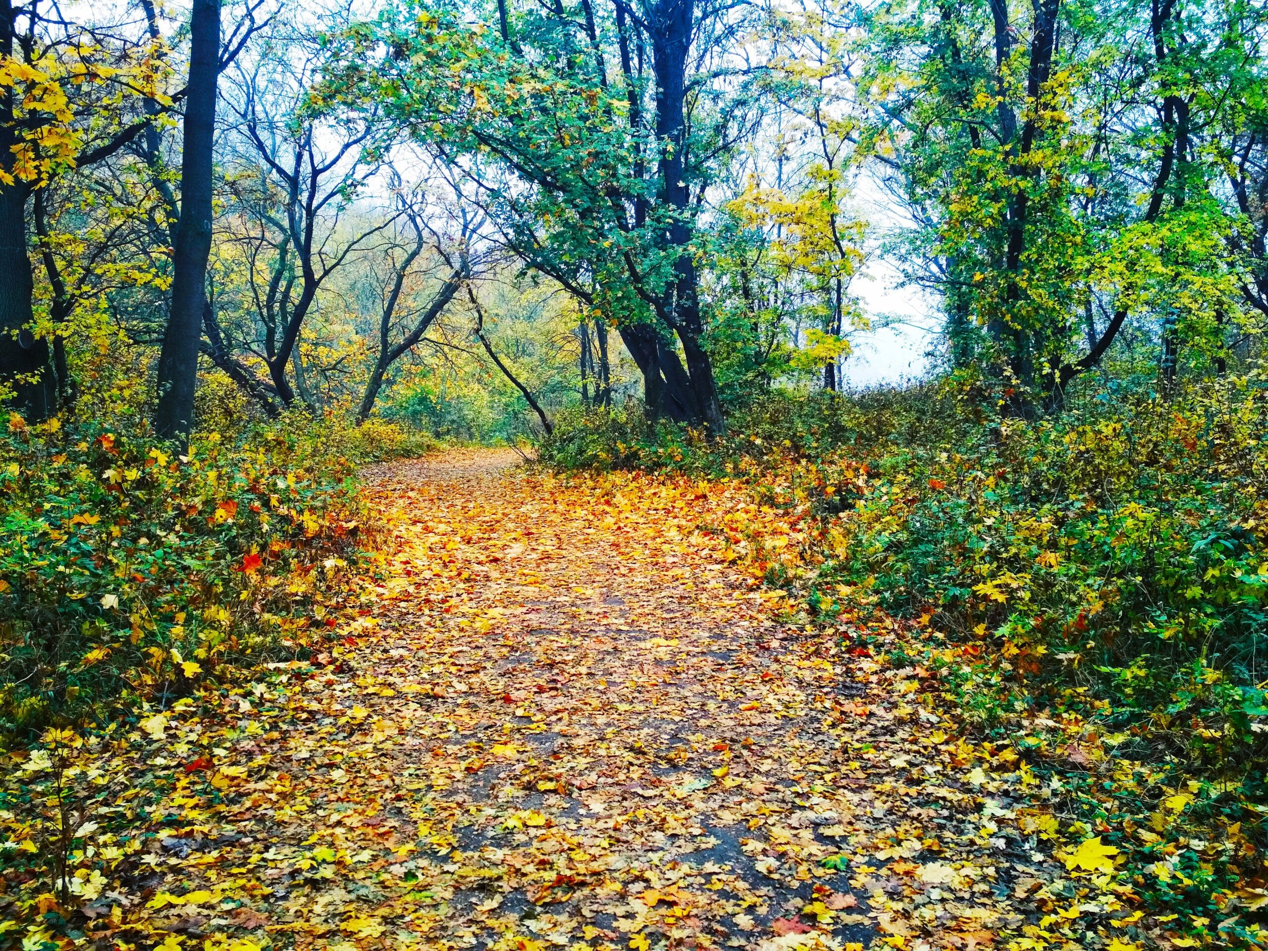 nature-attraction-winnipeg
